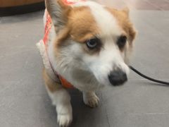 -联合动物医院(光谷诊疗中心)