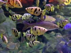 -成都浩海立方海洋公园