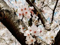 -白塘生态植物园