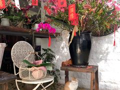 -6号花园别墅酒店
