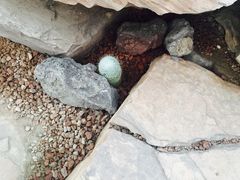 -南通洲际绿博园