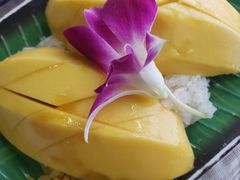 -Jungle Kitchen