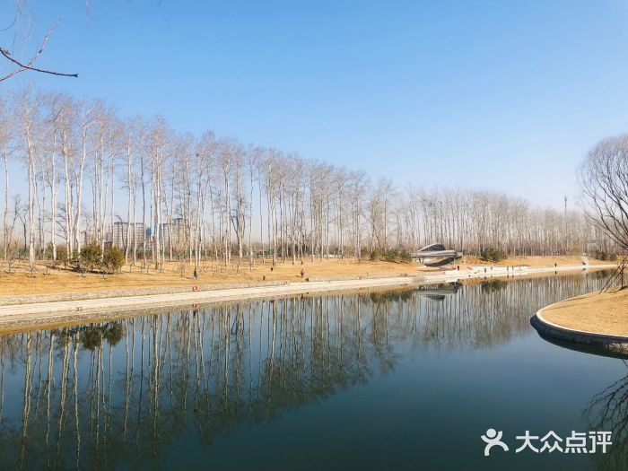 坝河休闲公园图片