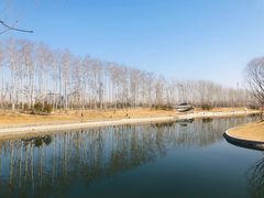 -坝河休闲公园