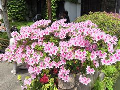 -惠山古镇·寄畅园