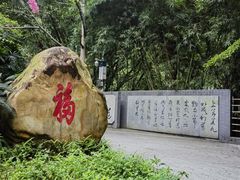 -南海湾森林生态园