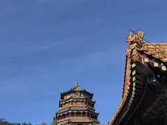 -宫事颐庭·老佛爷贵寿下午茶(颐和园店)