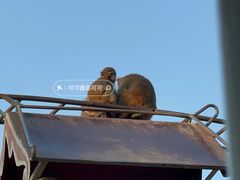 -保定市动物园