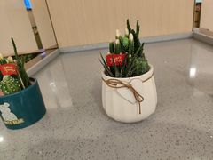-海底捞火锅(旭辉MALL店)