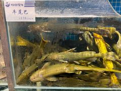 -胖姐渔村(中源大道店)
