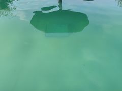 -秦皇岛阿尔卡迪亚滨海度假酒店