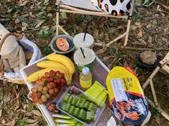 -南宁良凤江国家森林公园