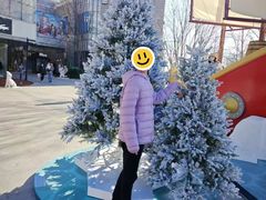 -中粮·祥云小镇