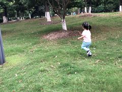 -花溪公园