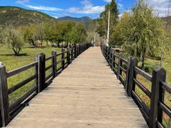 -泸沽湖国家级风景名胜区走婚桥