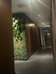 点击看大图 -禾颜社·精致美容