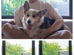 -蓝楹湾度假酒店
