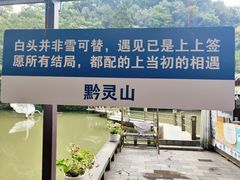 -黔灵山公园