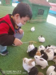 -萌宠亲子动物乐园(槐房万达店)