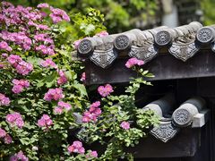 -金谷里艺术馆