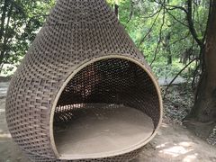 -东湖落雁景区