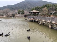 -无锡动物园·太湖欢乐园