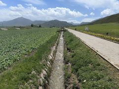 -扁都口生态休闲旅游区