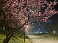 -南京眼步行桥