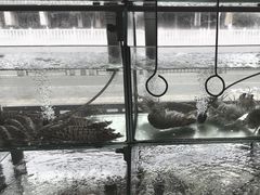 -凯华海鲜火锅·传承三十六年
