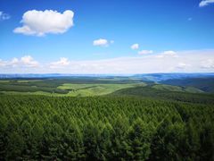 -塞罕坝国家级自然保护区