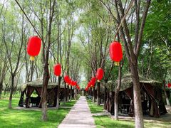 -草根堂农场