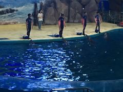 -福州罗源湾海洋世界旅游区