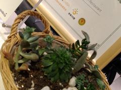 -菩提树·素食餐厅(汇智国际商业中心店)