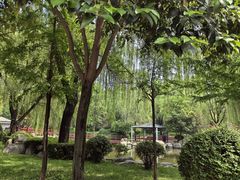 -唐城墙遗址公园