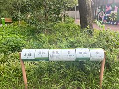 -和平公园