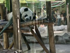 -栾川竹海野生动物园