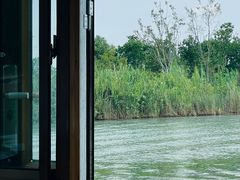 -泗洪洪泽湖湿地景区