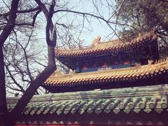 -VOYAGE COFFEE(北锣鼓巷店)