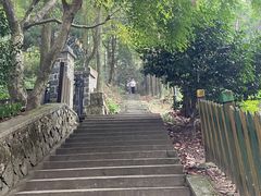 -莫干山风景区