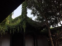 -绍兴鲁迅故里·沈园景区