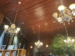 -WPlus明星肖像亲子全家福摄影