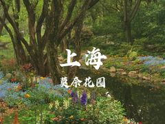-上海共青森林公园