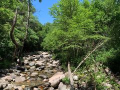 -玉渡山自然风景区