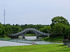 -上海海湾国家森林公园