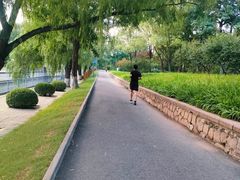 -元大都城垣遗址公园