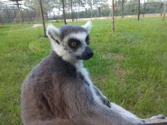 android_upload_pic-石家庄市动物园