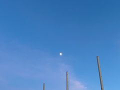-碧海金沙