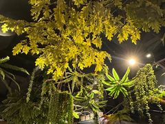 -城墙拐拐火锅(三峡广场黑金冠店)