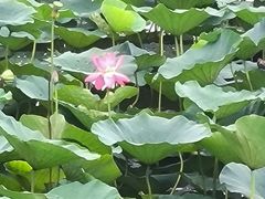 -星巴克(天津SM城市广场店)