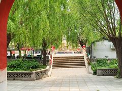 -白洋淀景区